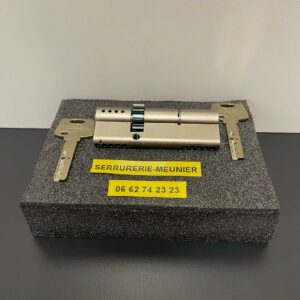 Cylindre européen Mul-T-Lock Interactive 10 dents dimensions 31x91mm